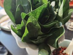 -南门四季铜锅涮肉(大屯·北苑店)