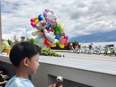 -大理洱海