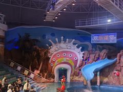 -烟台海昌鲸鲨海洋公园