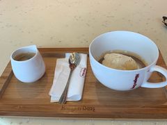 -哈根达斯(扬州瘦西湖店)