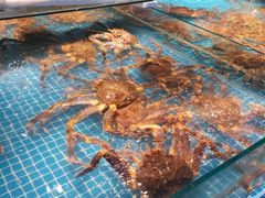 水产区-驻海渔市(置信店)