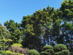 -深圳国际园林花卉博览园