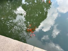 -巡塘古镇