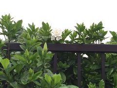 -南京医科大学(江宁校区)
