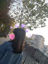 点击看大图 -镁连社·美联社