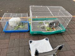 -大象厨房(重庆道店)