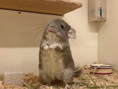 -龙猫仔乐园(惠福东路店)