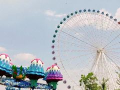 -凤凰欢乐大世界