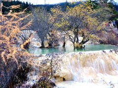 -黄龙山原始森林景区