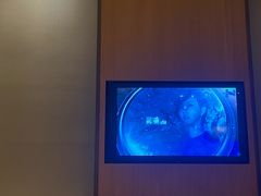 -杭州西溪喜来登度假大酒店