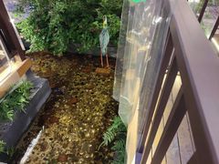 -醉月城西昌火盆烧烤(天府店)