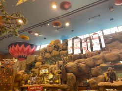 -卡通尼·Safari非洲探索乐园·生日会(金桥国际商业广场店)