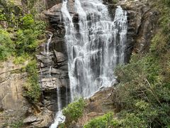 -海南热带雨林国家公园吊罗山景区