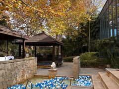 -春晖园度假酒店温泉