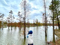 -上海长兴岛郊野公园