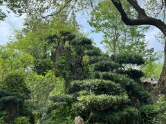 -成都武侯祠博物馆