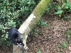 -普陀山风景区-佛顶山