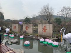 -香雪海