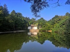 -深圳国际园林花卉博览园