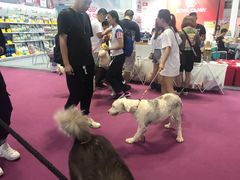 -重庆国际会议展览中心