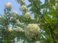 -白塘生态植物园