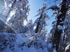 -瓦屋山景区
