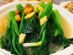 盐水浸菜心-陈根记大牌档