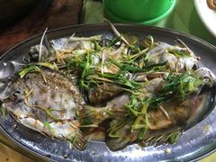 蒸金鼓-南记老牌牛骨汤