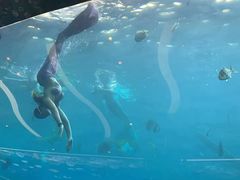 -瑞德姆美人鱼海底演艺主题餐厅(亚龙湾店)