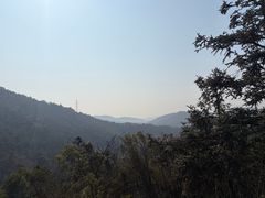 -桃花岭景区
