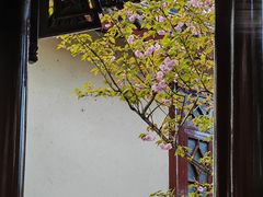 -檀园