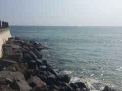 -龙头岩(Dragon Head Rock)