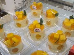 -喜莲娜动物奶油生日蛋糕(白云店)