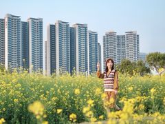-光明小镇欢乐田园