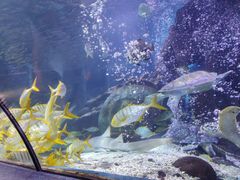 -太平洋海底世界