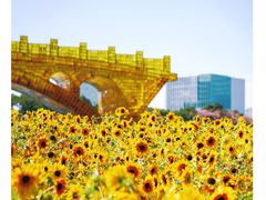 景点-海心沙亚运公园