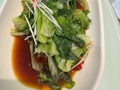 -紫光园·烤鸭·北京菜(劲松店)