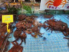 -79号渔船海鲜饭店(宝安店)