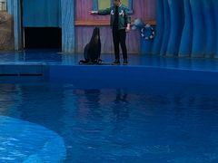 -华夏文旅海洋公园