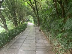 -南溪山景区