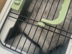 -博特宠物医院24h犬猫全科.骨科·异宠