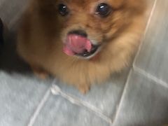 -A+摄影