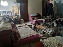 -1点点(国美店)
