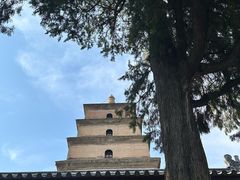 -大慈恩寺(大雁塔)