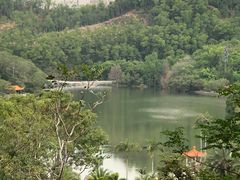 -深圳仙湖植物园