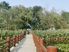 -长兴太湖图影湿地文化园