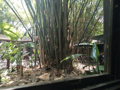 -勐丽梦兰傣味餐厅