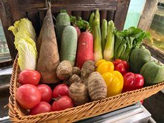 -甄御•海鲜新青岛菜(麦岛店)