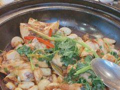 招牌广式鱼头砂锅-永記粤菜·五指毛桃花雕鸡煲(九亭店)