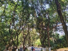 -燕晗山郊野公园